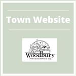 Town Website