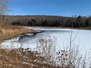 A beautiful view of the Trolley Bed Preserve on a winter day.