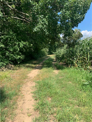 Minortown Walking Trail